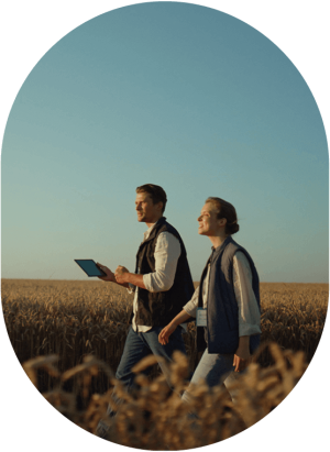 CRF Agritech agronomists working in wheat field with tablet, blue skies in the background